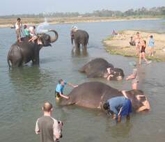 Chitwan